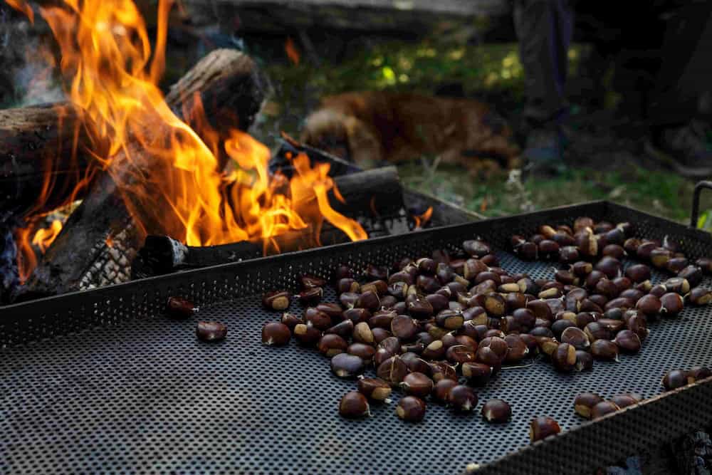 26th Sveti Ivan Zelina Chestnut Festival - Roasted Chestnuts